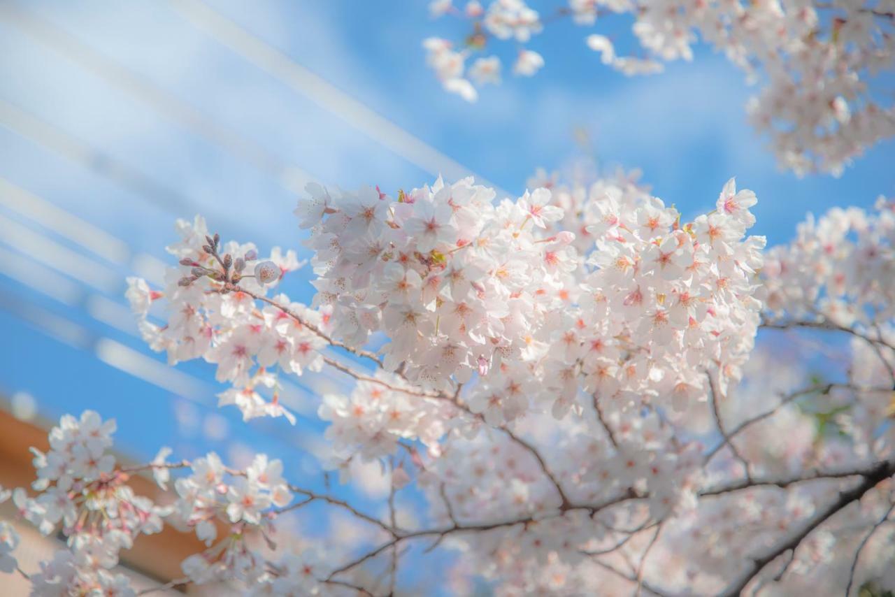 Kyoto Takasegawa Bettei Hotel Екстериор снимка