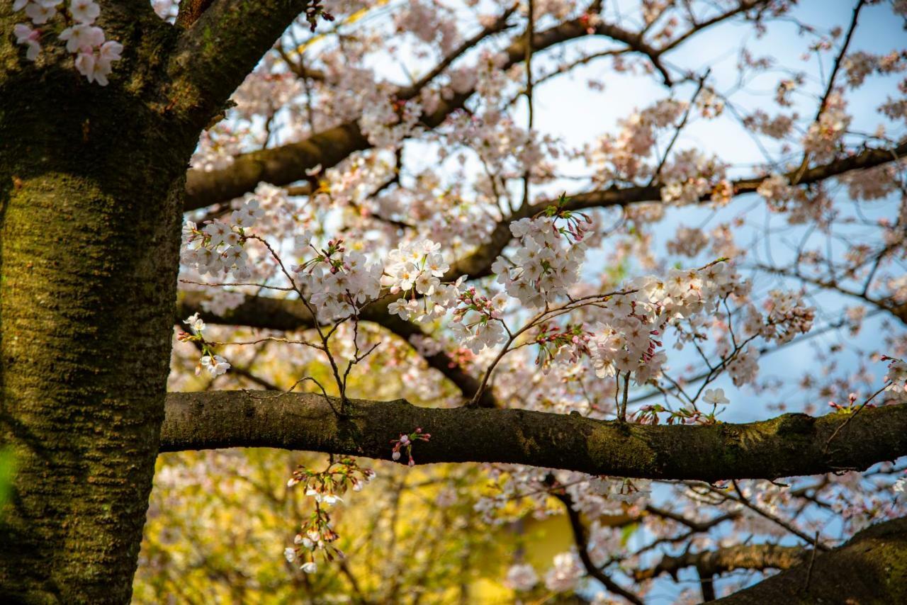 Kyoto Takasegawa Bettei Hotel Екстериор снимка